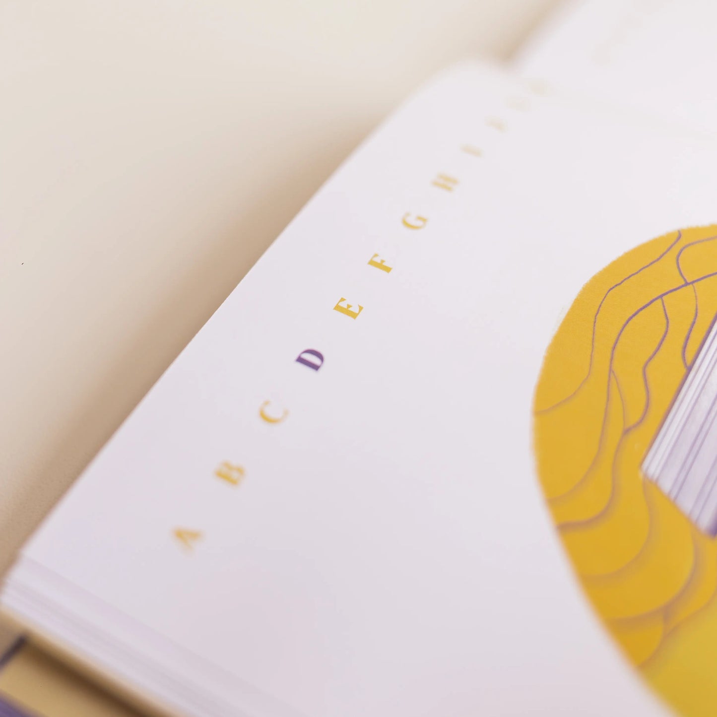 Alfabetização pela Bíblia - Foto Livro A é de Adão Interior