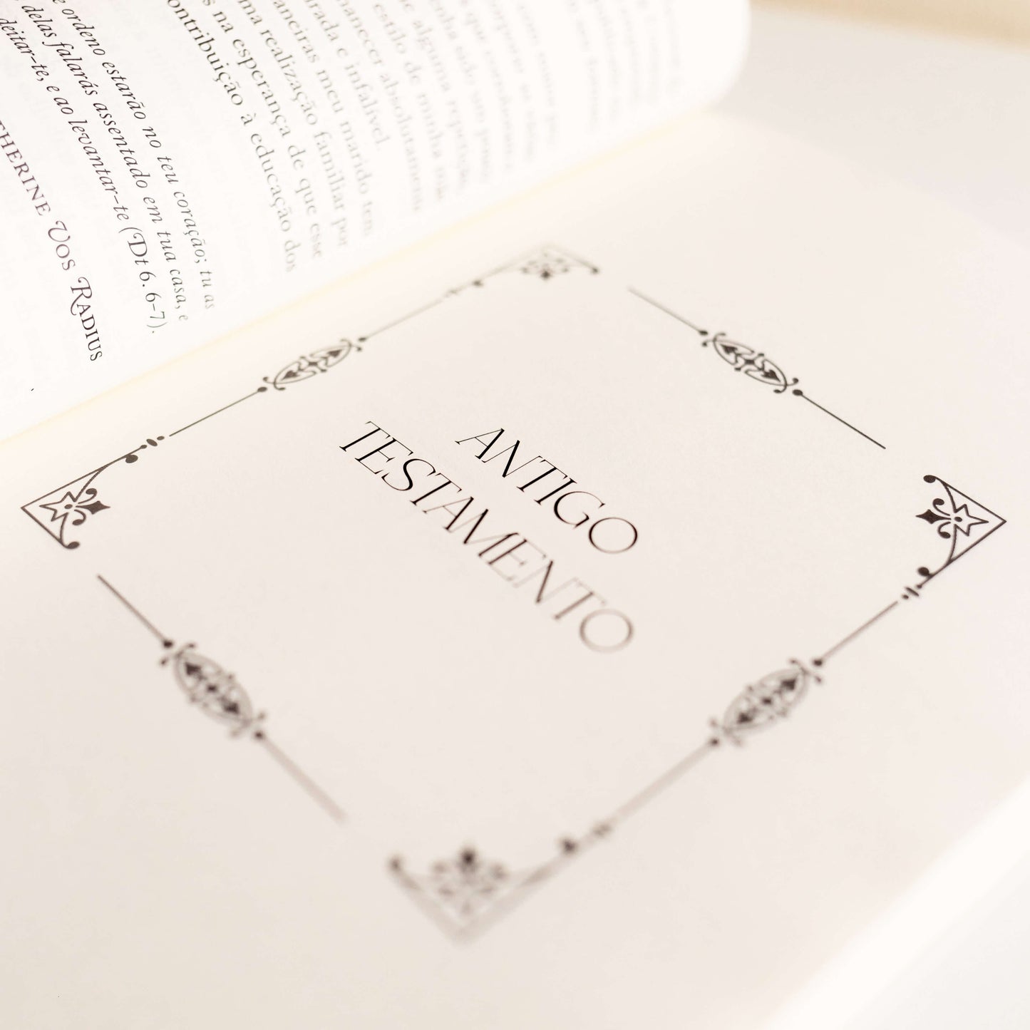 Histórias Bíblicas Para Crianças foto interna do livro.