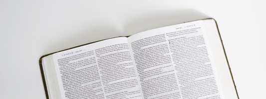 Não leia as histórias da Bíblia - Editora Shemá